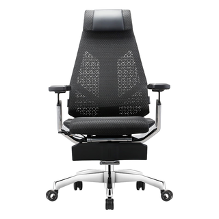 Ergonor 保友办公家具 基尼迪亚 人体工学电脑椅 5D悬浮扶手+真皮头枕+躺舒宝 黑色