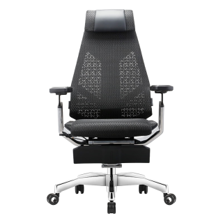 国家补贴、PLUS会员：Ergonor 保友办公家具 保友基尼迪亚X 人体工学椅 黑色网+躺舒宝 整椅发货 送货上门