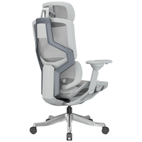 ENOVA自由家人体工学椅办公座椅舒适学习椅子电竞椅撑腰椅电脑椅 液态银（6D扶手+尼龙脚）
