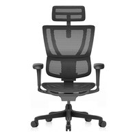 Ergonor/保友办公家具 美国网 人体工学椅 【国民家居款】黑色美国网