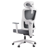 黑白调P5升降单背款人体工学椅人工力学椅电竞电脑椅办公家用久坐适椅子 P5霜白款(固定扶手+升降椅背)