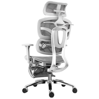 歌德利（Gedeli）J2人体工学椅护腰透气电脑办公椅靠背电竞老板椅子4D扶手灰带脚踏 龙纹灰+4D扶手+脚踏