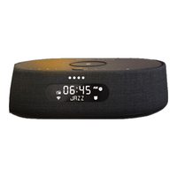 Harman Kardon 哈曼卡顿 CITATION OASIS 智能音箱 黑色