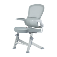 八九间 Y5F元气电脑椅四脚写字升降学习椅工学办公椅子家用小巧舒适 Y5F_浅灰_2代 (碳钢升降F脚)