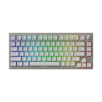 SKN 青鸟75HE 自研网页驱动 磁轴机械键盘  佳达隆星云磁轴 藏银 RGB