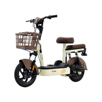 TAILG 台铃 电动车小淘气-G电动自行车48V13Ah铅酸新国标可上牌 （到店选择颜色）