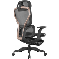 ENOVA舒躺家人体工学椅护腰办公座椅子家用舒服久坐电竞椅电脑椅 香槟金（4D扶手+尼龙脚+脚踏）