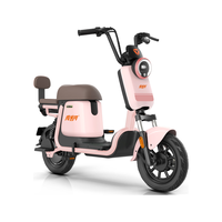 雅迪青春号【车架+电池+充电器】电动自行车Q1-H 48V24Ah钠离子电池新国标电动自行车 晚樱粉