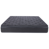 舒达(serta)核心技术 乳胶弹簧床垫 主卧适中奢睡 厚31CM 康奈尔 1.5米 康奈尔 适中奢睡 厚31CM