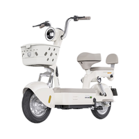 LUYUAN 绿源 新国标电动自行车FBQ5