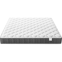 LINSY 林氏睡眠林氏睡眠天然椰棕床垫家用独立弹簧床垫子席梦思1.2米