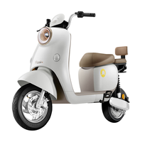 SUNRA新日新国标电动车丽月DQ5 48V24AH锂电池续航70公里燕麦灰