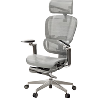 YANXUAN 网易严选 探索家MAX 人体工学椅转椅 灰色-无搁脚