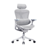 西昊C100i 智能人体工学椅按摩电脑椅 办公椅子人工力学座椅电竞椅 C100i 云白【智能按摩追骶】