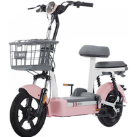 电动车雷霆铅酸新国标可上牌成人电动自行车电瓶车   星空白黑