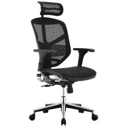 Ergonor 金卓系列 人体工学电脑椅