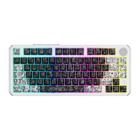 Dareu 达尔优 A75HE 全铝 有线机械键盘 街头艺术 天空磁轴 RGB