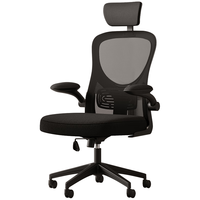 BECAUSES 伯力斯 电脑椅办公椅人体工学椅家用学习椅电竞椅职员椅BLS-YX-0629