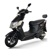 立马电动摩托车【系列】极昂100公里长续航电动车1500W电机 96V20Ah铅酸电池前后碟刹 星空黑