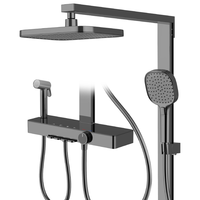  箭牌 ARROW C1 ProMax AE34186MZGGW-P2 置物淋浴花洒套装 枪灰