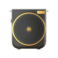  EDIFIER/漫步者 大功率 便携式扩音器  黑色