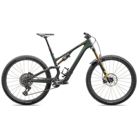 SPECIALIZED闪电 STUMPJUMPER 15 PRO碳纤维全避震林道山地自行车