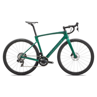 SPECIALIZED闪电 ROUBAIX SL8 PRO 碳纤维电变竞赛耐力公路自行车