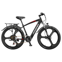 PHOENIX 凤凰 589 电动自行车