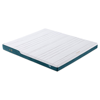 大自然 山棕床垫 非椰棕 可榻榻米偏硬棕垫【P2】1.0米*2米*10厘米 P2【10CM】