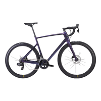 DECATHLON 迪卡侬 自行车轻量耐力竞赛公路车碳纤维碟刹公路自行车苍紫色S-4517012