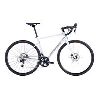 SPECIALIZED 闪电 ALLEZ E5 DISC SPORT碳纤维前叉公路自行车