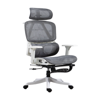  优兰森 人体工学 办公椅 3D扶手 搁脚  T205云灰 【3D扶手】 带搁脚