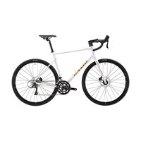 坎普（CAMP）RADONX 自行车铝合金车架公路车18变速顺泰纯油碟刹单车弯把赛车 珍珠白 18速 490码 700C