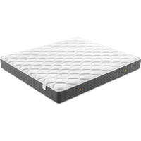 LINSY 林氏家居 CD135A 椰棕护脊床垫 120*200cm