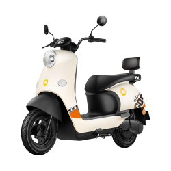 新日 丽曼3.0 pro电动车 60V铅酸电池