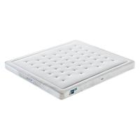 大自然 棕榈床垫清新防螨山棕护脊释压棕榈床垫儿童老人家用偏硬E6