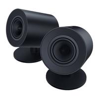 RAZER 雷蛇 天狼星V2X 多媒体音箱 黑色