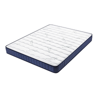SOMNOPRO/穗宝 3D环保椰棕 床垫 10-15cm(含) 150*200cm 偏硬 芯能