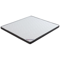 惠寻 京东自有品牌 椰棕床垫硬棕垫薄床垫偏硬无胶水 1*2米10cm厚 双面白毡直板加厚棕垫10cm