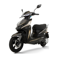 立马电动摩托车【系列】闪电70公里高速长续航电动车1500W电机72V20Ah铅酸电池 前后碟刹 玄清灰 消光炫金