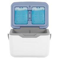 ICEMASTER 冰大师 保温箱车载户外露营野餐冷藏箱母乳保鲜便携小冰箱户外储奶12L 12L白色