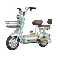 PHOENIX凤凰电动车新国标长续航可上牌电动自行车小型电瓶车两轮男女代步车 绿色【 终身售后】 12A载能铅酸电池-助力续航约50KM