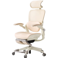 YANXUAN 网易严选 女神椅人体工学椅转椅 办公椅电脑椅电竞椅可躺椅子 女友 玛瑙灰-