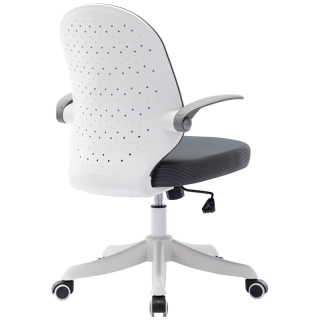 伯力斯 电脑椅办公椅写字椅学习椅家用人体工学转椅子BLS-YX-0856A浅灰