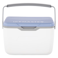 冰大师（ICEMASTER）保温箱车载商用大容量冷藏箱户外露营便携手提食品保鲜冰箱20L 20L白色