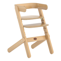 Boori泰迪成长椅配件（含餐盘+防水坐垫+五点式绑带） 泰迪配套餐盘+坐垫+带