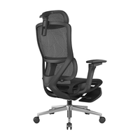 ENOVA时尚家网布款撑腰椅人体工学椅电脑椅家用舒适久坐办公椅学习椅子