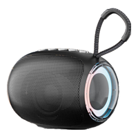 EARISE 雅兰仕 A66 无线蓝牙音箱大音量超重低音