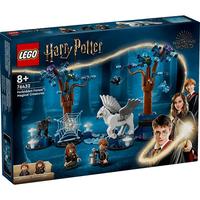 LEGO 乐高 哈利·波特系列 76432 禁林神奇动物