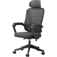 YANXUAN 网易严选 猎鹰系列 A5 人体工学电脑椅 黑色 有脚踏款